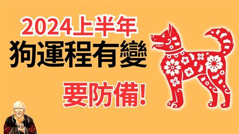 1970屬狗2024運勢每月|属狗人2024年全年整体运势及每月运势详解